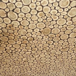 Juniper Ceiling - Heracles Wellness