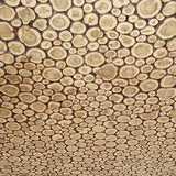 Juniper Ceiling - Heracles Wellness